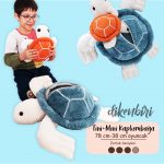 Tini & Mini Kaplumbağa Oyuncaklar